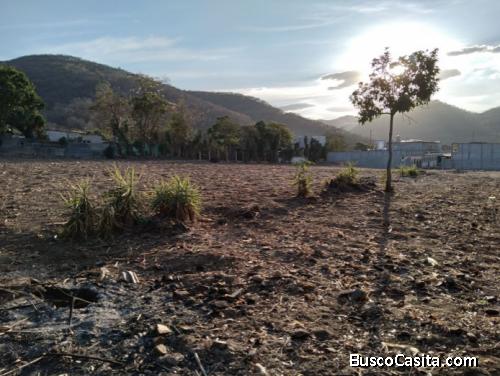 CityMax-Gold vende terreno en San José del Golfo