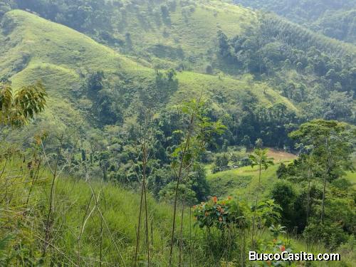 HERMOSA FINCA  ESPECIAL PARA GANADO EN PUERTO BARRIOS