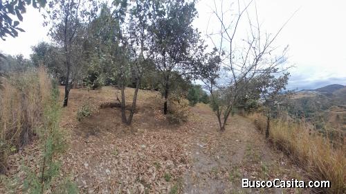 ATENCION DESARROLLADORES UNICA OPORTUNIDAD DE DESARROLLO