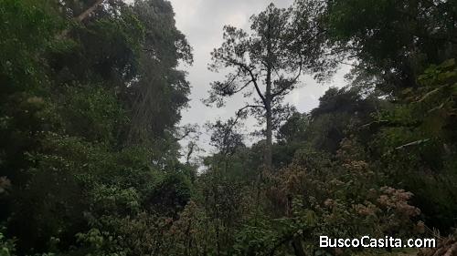 Terreno en Venta en Santiago Sacatepéquez. 