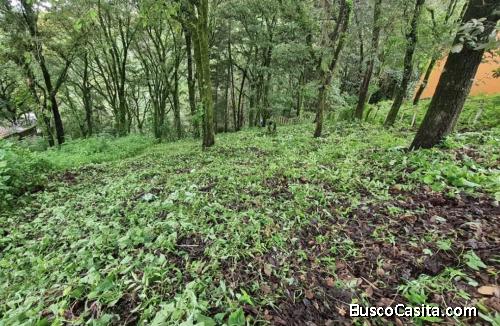 Terreno en venta La Hojarascas, Camino a San Lucas Km.20