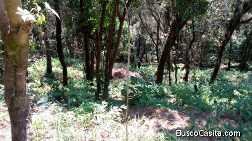 Terreno en venta El Encinal Tronco 6, Zona 07 Mixco