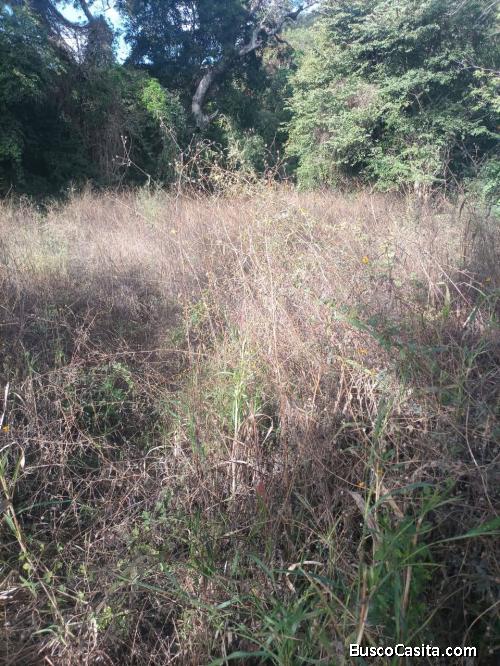 terreno de 2.5 manzanas para uso agrícola