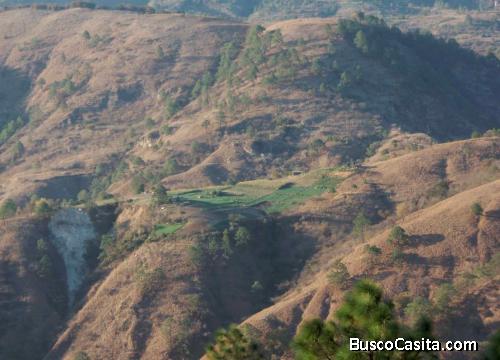 Finca en Venta 13.5 caballerías. Excelente precio