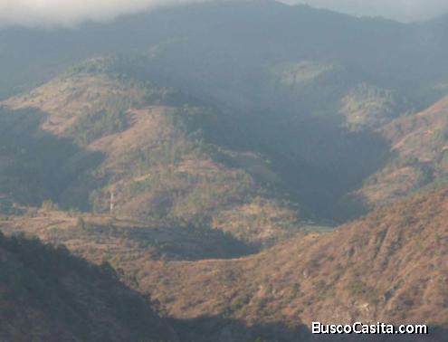 Finca en Venta 13.5 caballerías. Excelente precio