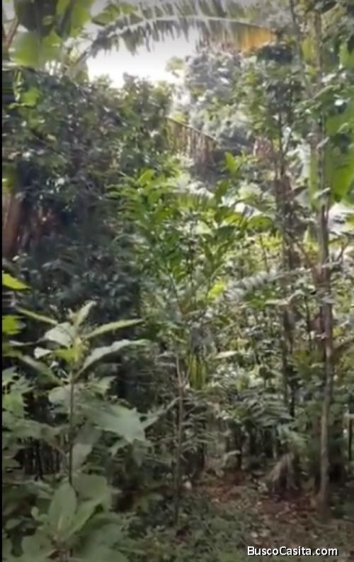 TERRENO GRANDE EN VENTA EN FRAIJANES CARRETERA EL SALVADOR