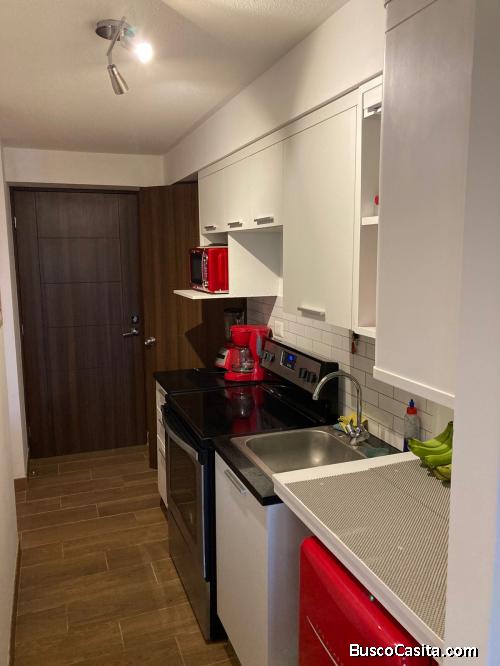 Rento Apartamento amoblado de 1 habitacion en zona 2