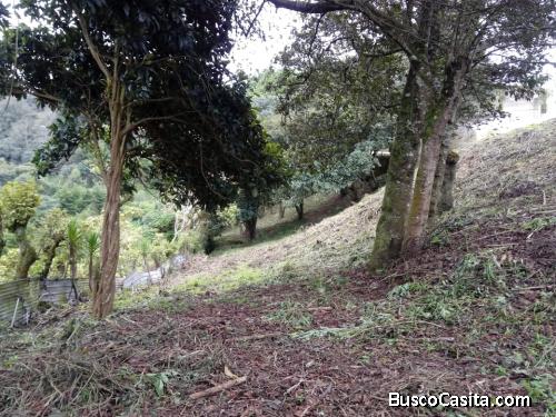 Vendo Terreno grande en San Lucas Sacatepequez