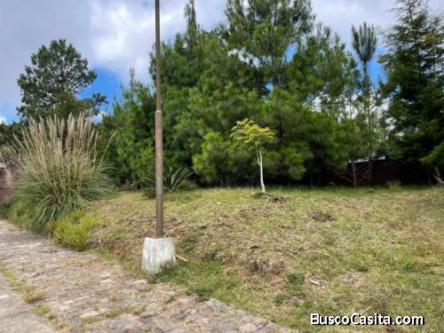 TERRENO EN VENTA EN PIEDRA PARADA CAES