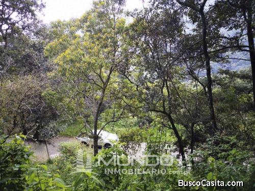 TERRENO EN VENTA EL ENCINAL TRONCO 8