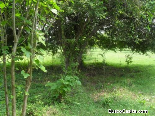 VENDO TERRENO TOTALMNETE PLANO EN KM 98 PUERTO QUETZAL