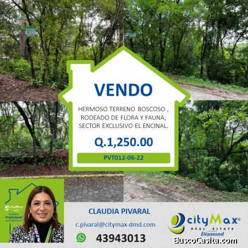 VENDO TERRENO EN SECTOR EXCLUSIVO DEL ENCINAL.