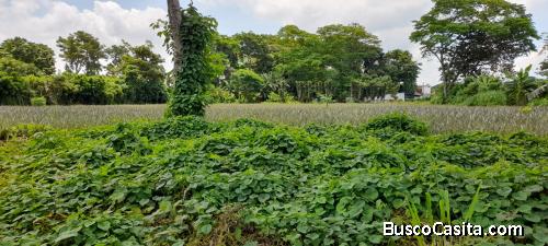 Terreno en venta en Mazatenango