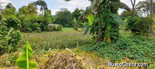 Finca en venta en Mazatenango San Gabriel