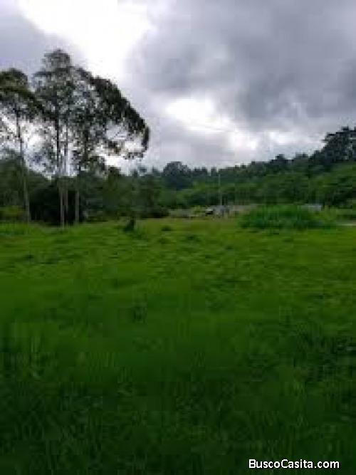 Terreno en Venta en Alta Vista Country Club