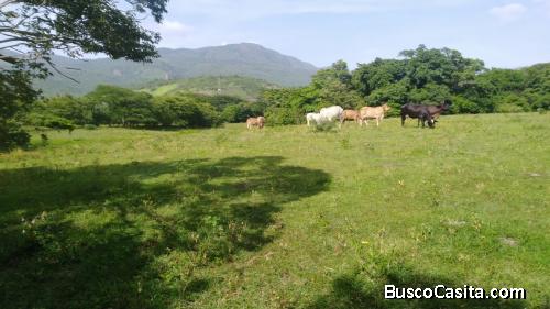 Finca en venta Km. 108 CAES