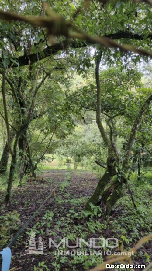 TERRENO VENTA EL ENCINAL, TRONCO 2