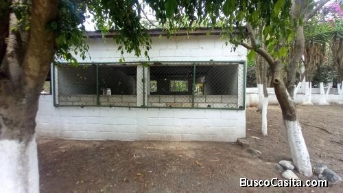 TERRENO COMERCIAL EN VENTA EN VILLA NUEVA, VENDO TERRENO INDUSTRIAL O RESIDENCIAL EN VILLA NUEVA