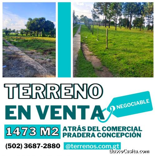 Haz crecer tus ingresos, invierte en Chimaltenango