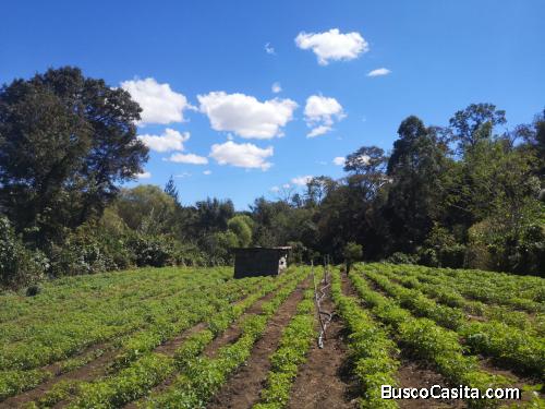Vendo terreno rustico en San Lorenzo el Tejar en #PastoresSacatépequez