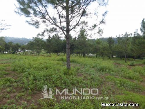 TERRENOS EN VENTA EN LAGUNA DEL PINO