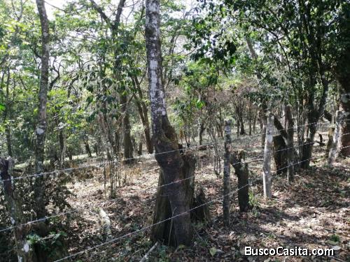 VENTA Terreno 8 manzanas km 26.5 a Santa Elena Barillas