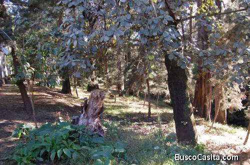 Oportunidad de venta de terreno en Santa Lucia Milpas Altas