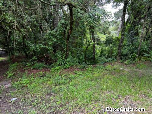 SE VENDE TERRENO EN EL ENCINAL