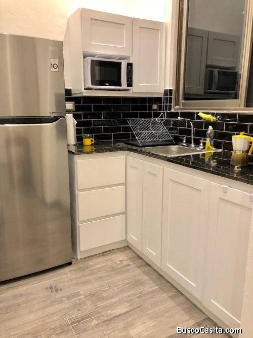 Lindo apartamento tipo loft en renta en Adamant z. 15