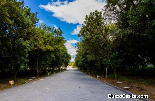 Casa en Renta y Venta en Las Macadamias Antigua GT