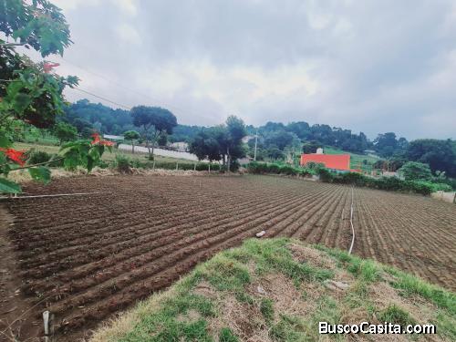 GANGA vendo terreno en san lucas sacatepequez 
