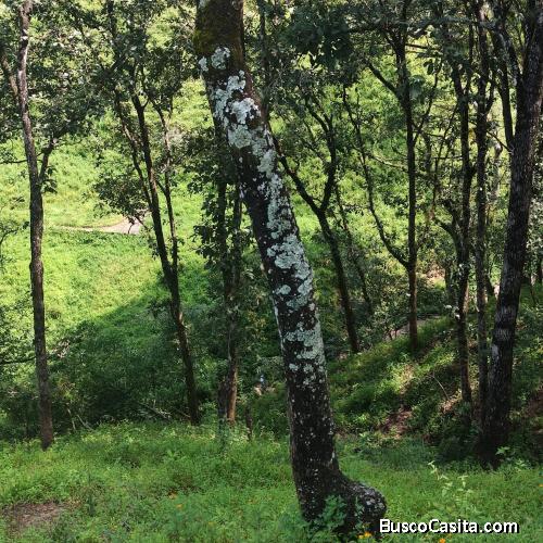 Terreno en Venta en San Pedro Ayampuc