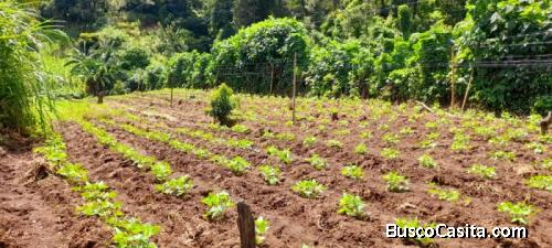 En venta Citymax Antigua ofrece terreno para siembra en el área dde Pastores