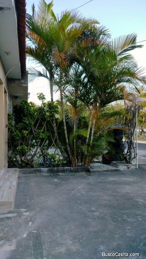 APTO. EN RENTA ZONA 12