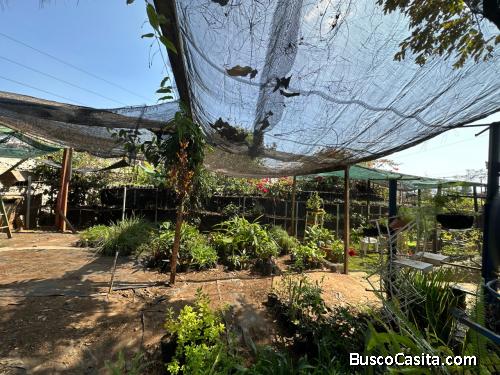 TERRENO EN RENTA EN COL. PANORAMA ZONA 8 DE MIXCO.