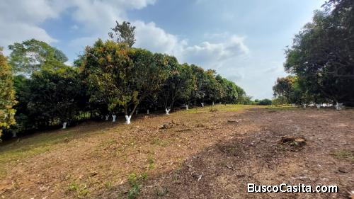 Proyecto conformado con terrenos de grandes medidas 