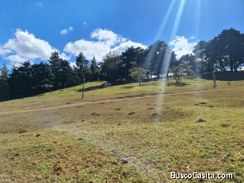 FINCA EN VENTA EN FRAIJANES  MUNDO INMOBILIARIO