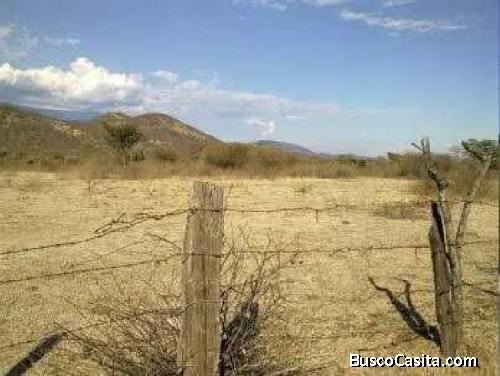 VENDO TERRENO EN EL RANCHO KM 81