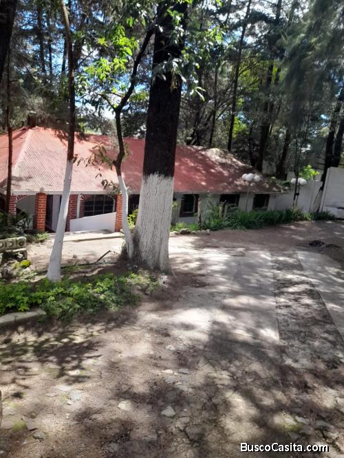 RENTO CASA EN SAN LUCAS IDEAL PARA NEGOCIO