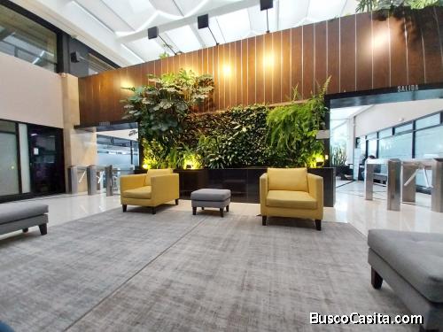 Oficina en Alquiler en zona 10