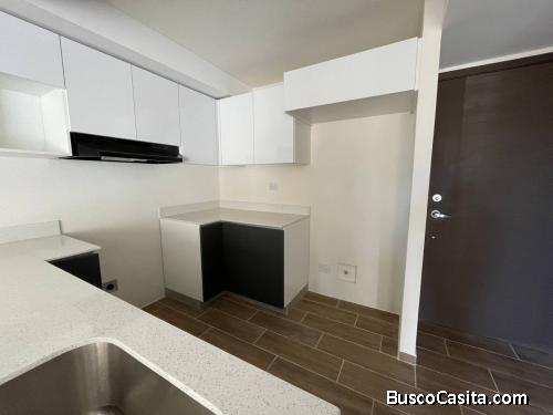Apartamento en Renta - Parque Mateo