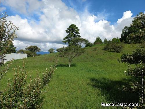 TERRENOS URBANIZADOS EN PARQUE INDUSTRIAL, EL NARANJO