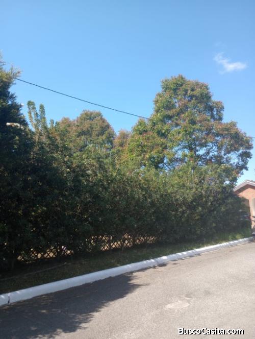 VENDO TERRENO EN HACIENDA SAN ANGEL, SAN JOSE PINULA. DE 16 FRENTE X 32 LARGO.