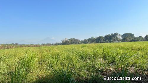 Terreno en venta en Aldea el Mogollón Nueva Concepción Escuintla