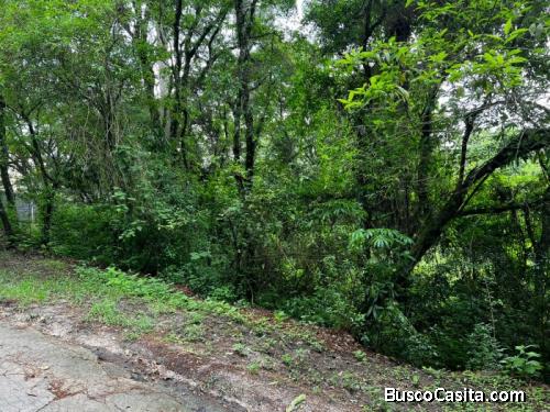 VENDO TERRENO EN EL ENCINAL 