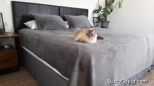 RENTO CASA KM. 22 CARRETERA SALVADOR