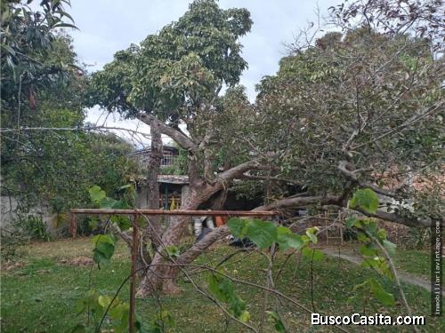 Vendo Terreno (con casa para demoler) en zona 15 VHII