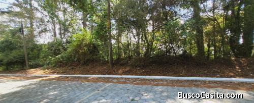 Terreno Residencial en Venta Tronco 12 El Encinal