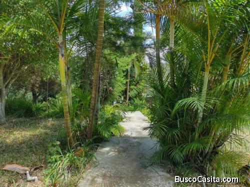 VENDO TERRENO EN SANTA CATARINA PINULA