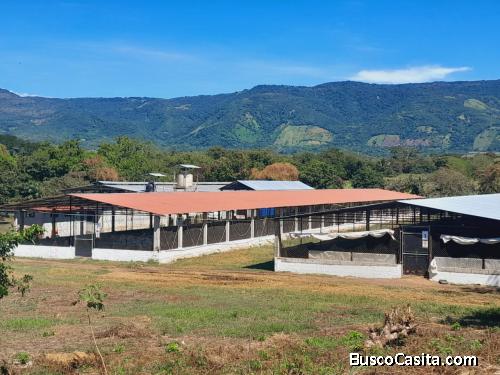 Granja de 8Mz en Venta en Oratorio Santa Rosa Guatemala